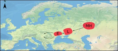 De quelle r&eacute;gion seraient originaires les Hongrois ?