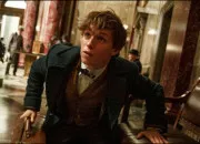 Quiz ''Les Animaux fantastiques''