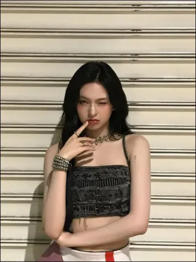 Quelle d&eacute;finition te repr&eacute;sente le plus ?