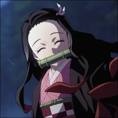 Quel est le nom de famille de Nezuko ?
