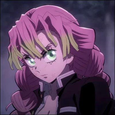 Quel &acirc;ge a Mitsuri ?