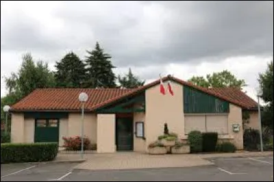 Ville Rhodanienne, Orli&eacute;nas se situe en r&eacute;gion ...