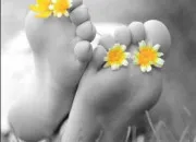 Quiz Un pied dans la culture g�n�rale !