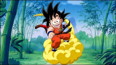 Qui est Sangoku ?