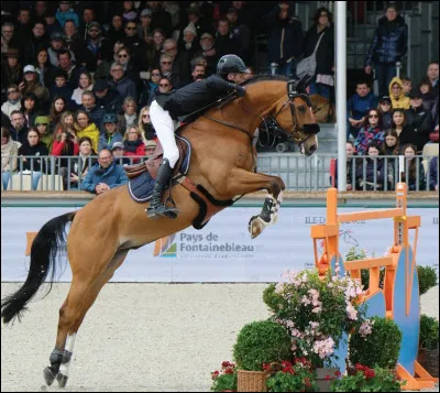 Et celui-ci, qui est tr&egrave;s fort en saut d'obstacles ? Qui est-il ?