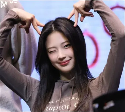 Si elle n'&eacute;tait pas idole, quel m&eacute;tier ferait-elle ?