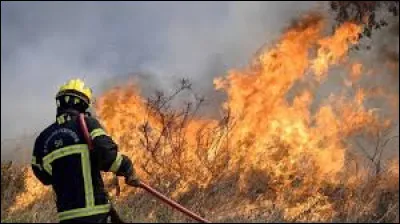 En quoi consiste le "TOOTEM" ?