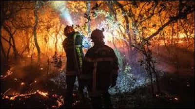 Que signifie le "NELAR" ?