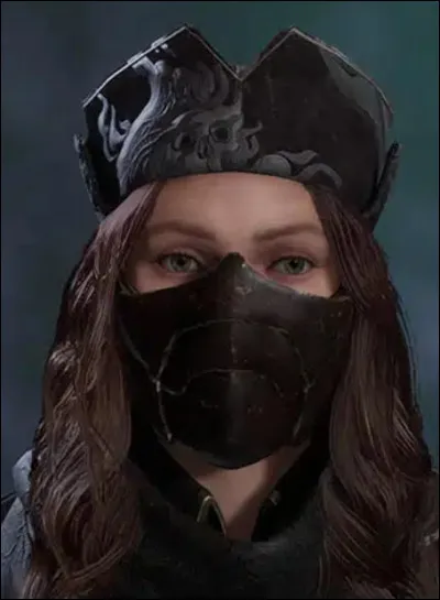 Quel est le meilleur masque ?