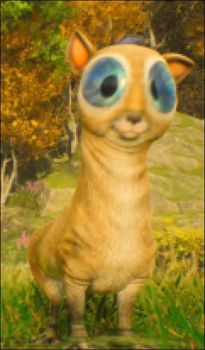 Quels sont tes animaux pr&eacute;f&eacute;r&eacute;s ?