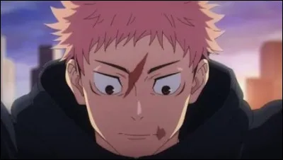 Changeons compl&egrave;tement d'univers avec le manga "Jujustu Kaisen". Quelle partie du corps de Sukuna Yuji a-t-il aval&eacute; ?