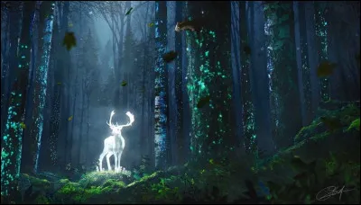 Dans ''Harry Potter et les Reliques de la Mort – Partie 1'', dans quelle for&ecirc;t les h&eacute;ros campent-ils longtemps en cherchant les Horcruxes ?