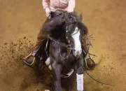 Quiz Un cheval = un pays