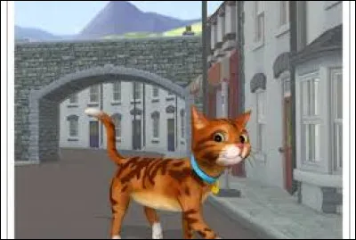 Comment s�appelle le chat de Sarah et Matthieu ?