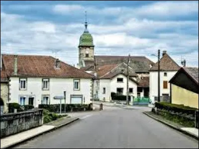Je vous emm&egrave;ne dans les Vosges Sa&ocirc;noises, &agrave; Baudoncourt. Village de l'arrondissement de Lure, il se situe dans le d&eacute;partement ...