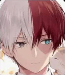 Dans My Hero Academia, Shoto a le pouvoir de la pluie et du feu.