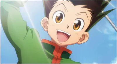 Dans dans Hunter x Hunter, le h&eacute;ros a les cheveux bleus.