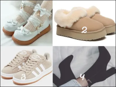 Quelles chaussures choisis-tu ?