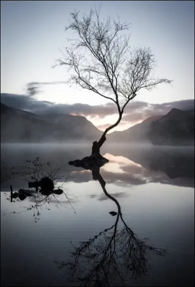 Quel est le nom de la force qui attire les objets vers le centre de la Terre ?