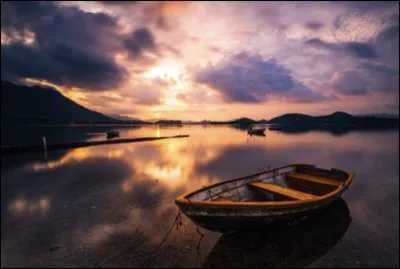 Quel est le nom du processus par lequel les plantes fabriquent leur propre nourriture ?