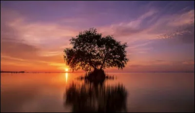 Quel est le principal gaz de l�atmosph&egrave;re terrestre ?