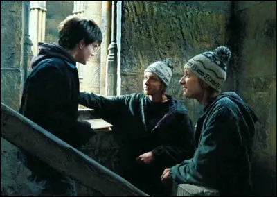 Quel est le nom de la carte magique qu'offrent les jumeaux Weasley &agrave; Harry ?