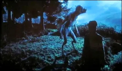 Qu'entend le professeur Lupin qui vient de se transformer en loup-garou quand il s'approche de Harry ?