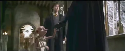 Quel v&ecirc;tement donne Harry &agrave; l'elfe Dobby ?
