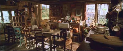 O&ugrave; est Harry avant de partir pour la Coupe du monde de Quidditch ?