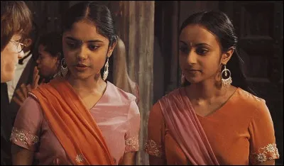 &Agrave; qui Harry demande-t-il de l'accompagner au bal de No&euml;l ?