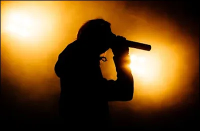 Quel chanteur ''branch&eacute;'' est l'interpr&egrave;te du titre ''Chanson populaire'' ?