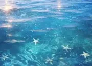 Test Quelle créature de la mer es-tu ?