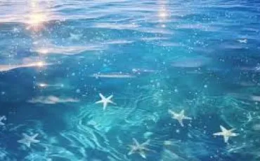 Quiz Test de personnalit�