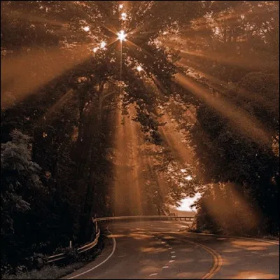 Que fais-tu quand ton ami est en retard &agrave; un rendez-vous ?