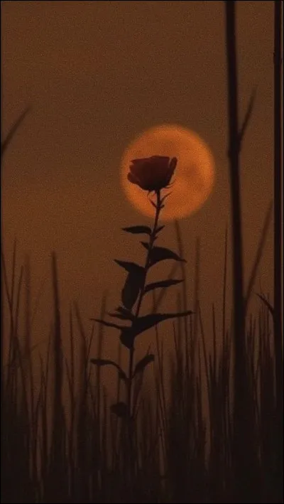 Comment regardes-tu g&eacute;n&eacute;ralement un film ?