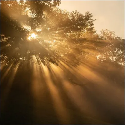 Comment r&eacute;agis-tu quand un ami te raconte un probl&egrave;me ?