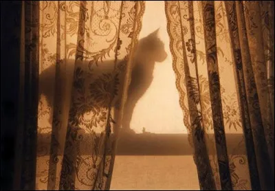 Comment r&eacute;agis-tu si un plan pr&eacute;vu est annul&eacute; &agrave; la derni&egrave;re minute ?