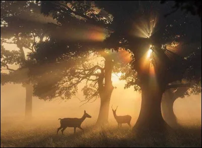 Que disent souvent tes amis &agrave; propos de toi ?