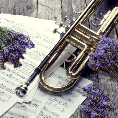 Qui chante &laquo;&nbsp;Poup&eacute;e Soldat&nbsp;&raquo; ?