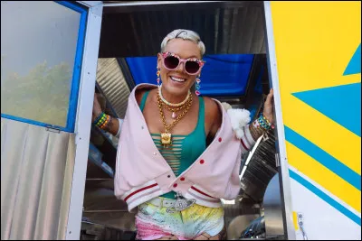 Trouve la musique de P !nk dans cette liste :
