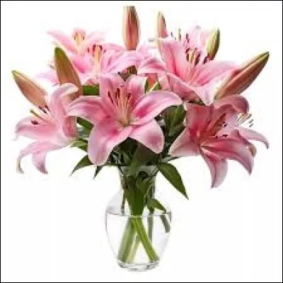 De quel pays le lys est-il le symbole ?