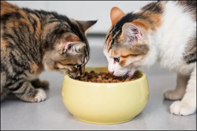 Voudrais-tu des marquages ?