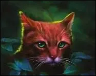 Qui est son chaton survivant ?