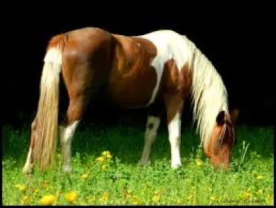 Lequel de ces caract&egrave;res te ressemble le plus ? (3/3)