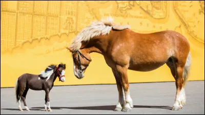 Pour commencer, tu es...