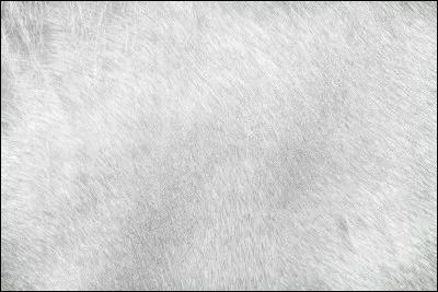 Aimes-tu cette image ?