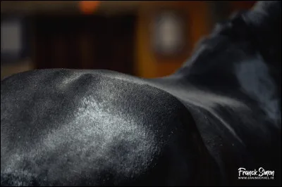 Aimes-tu cette image ?