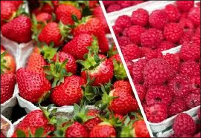 Quel groupe a chant&eacute; "Ah ! Les fraises et les framboises" en 1972 ?