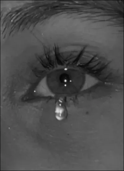 "Mauvais r&ecirc;ve" : qui interpr&egrave;te cette chanson ?