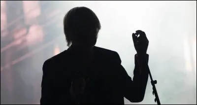 Quel chanteur engag&eacute; est l'auteur-compositeur et interpr&egrave;te du titre ''P'tite conne'' ?